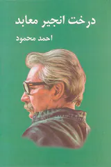 درخت انجیر معابد2جلدی